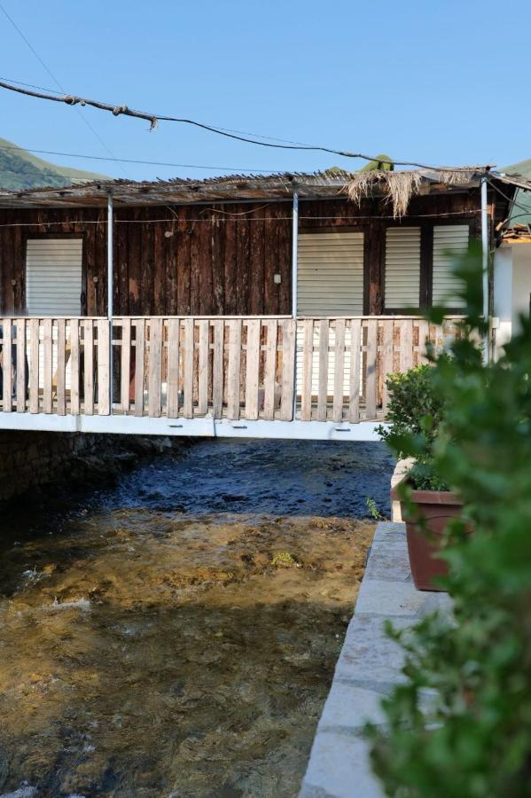 Tropikal Freskia Bunec Sarandë 外观 照片